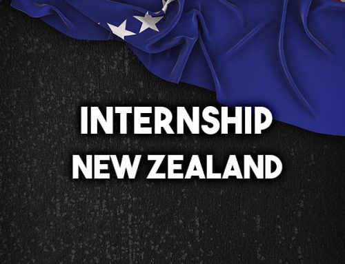 Internship in New Zealand